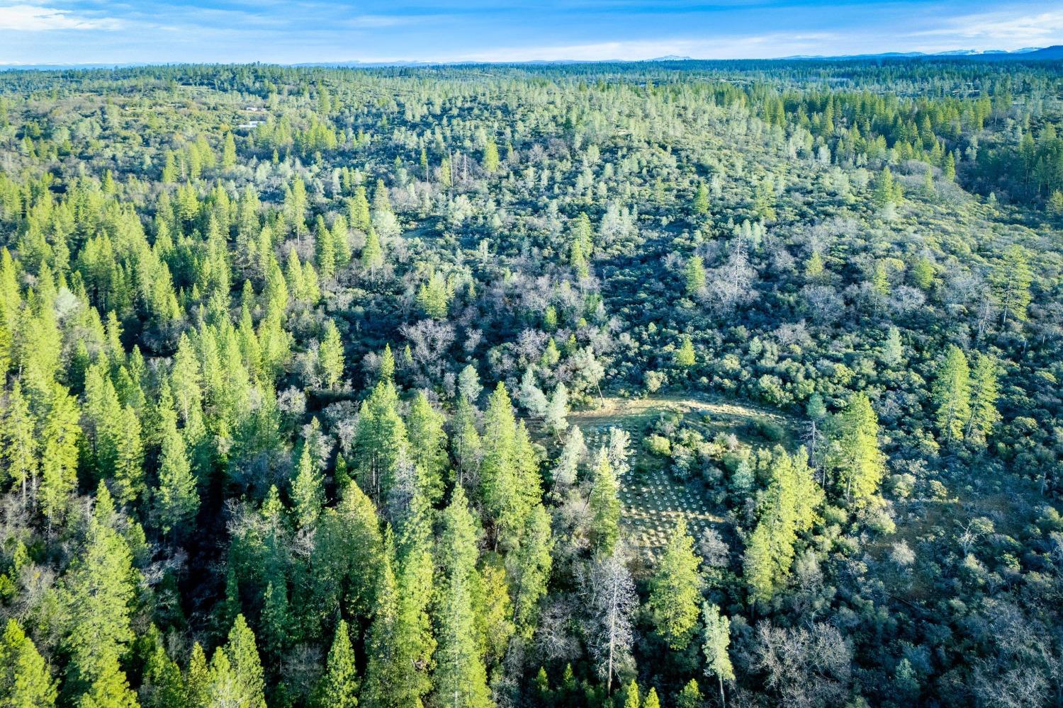 14941 Deadmans Flat Road Grass Valley, CA 95949 - Photo 30 of 45 a view of a green field with lots of bushes