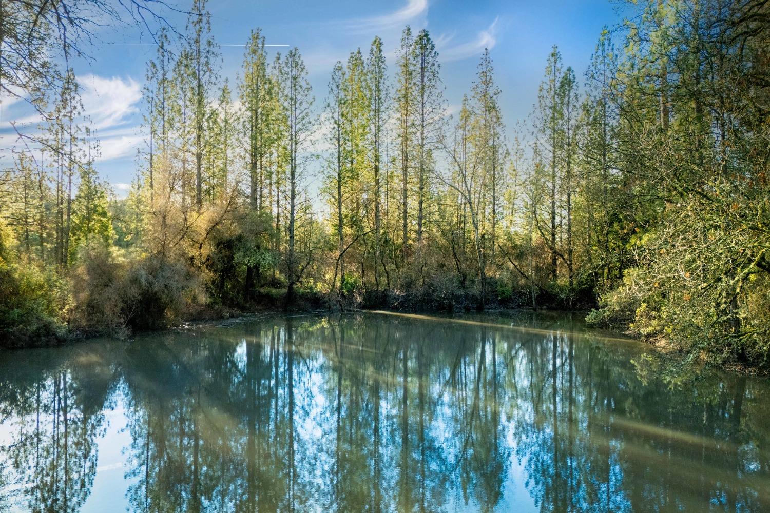 14941 Deadmans Flat Road Grass Valley, CA 95949 - Photo 3 of 45 a view of lake