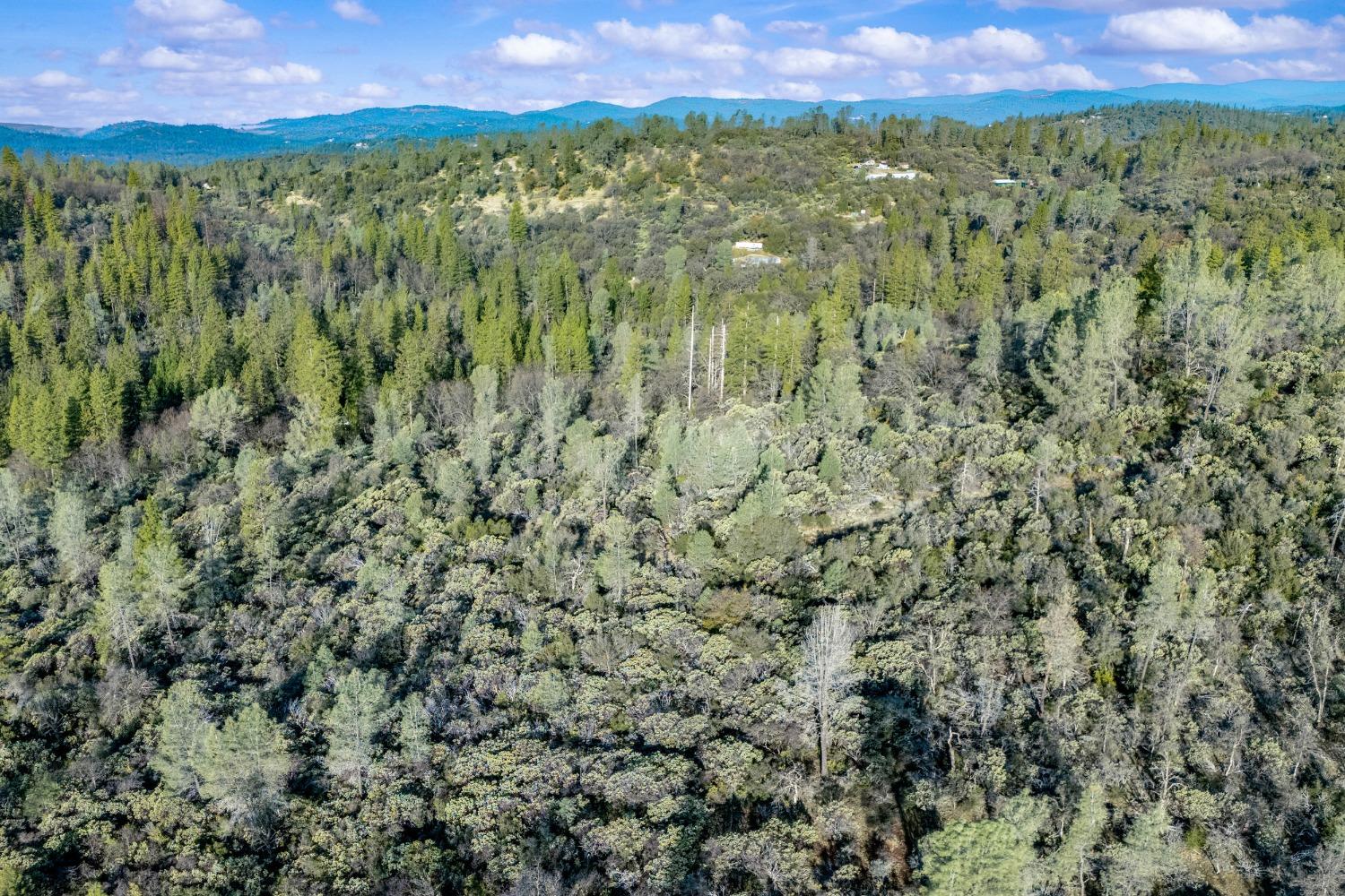 14941 Deadmans Flat Road Grass Valley, CA 95949 - Photo 33 of 45 a view of a city and lush green forest