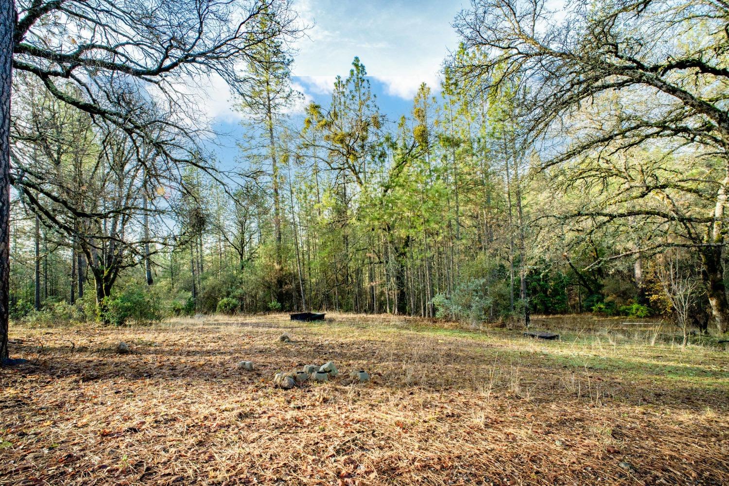 14941 Deadmans Flat Road Grass Valley, CA 95949 - Photo 37 of 45 a view of outdoor space with trees