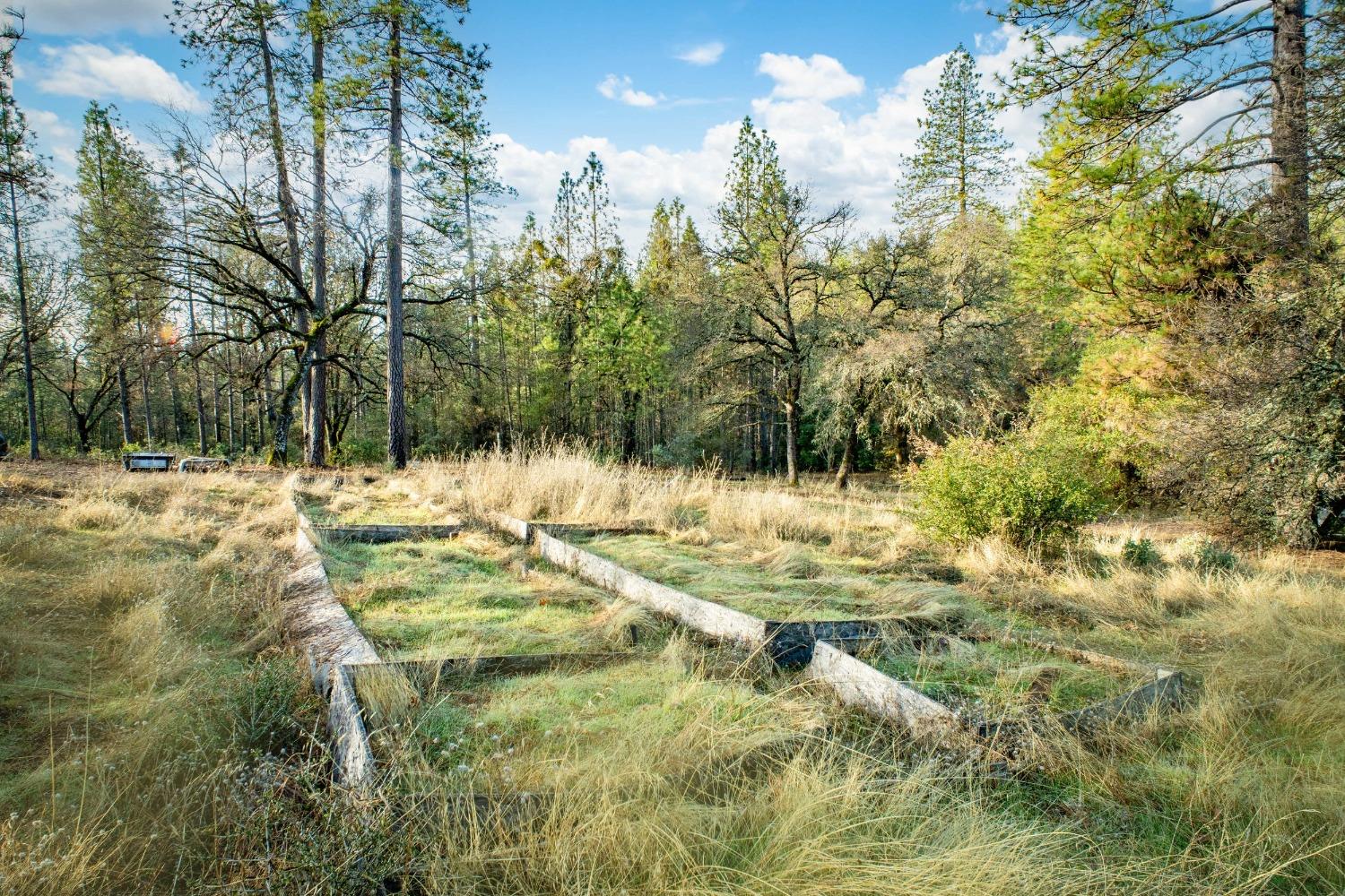 14941 Deadmans Flat Road Grass Valley, CA 95949 - Photo 38 of 45 a view of yard