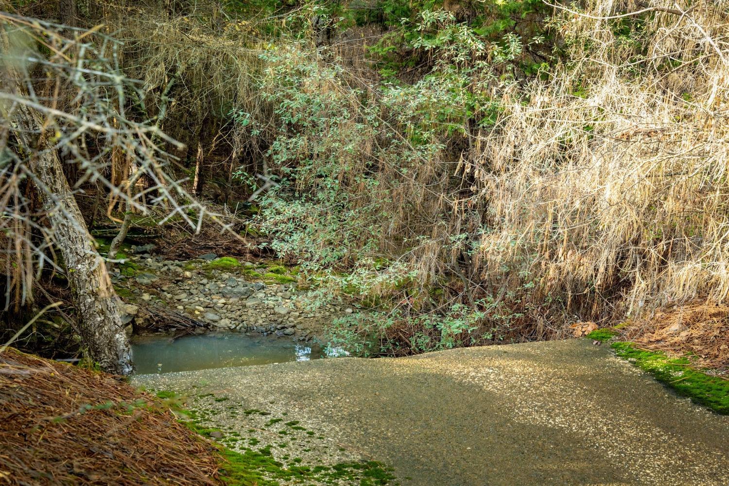 14941 Deadmans Flat Road Grass Valley, CA 95949 - Photo 40 of 45 a view of a yard with a tree