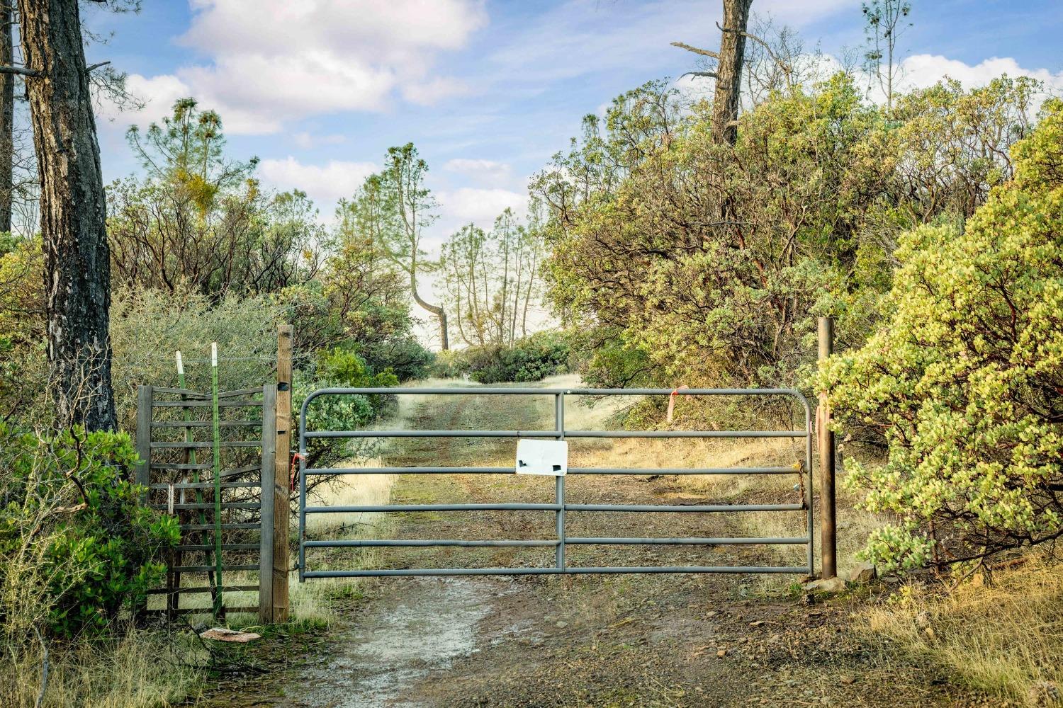 14941 Deadmans Flat Road Grass Valley, CA 95949 - Photo 42 of 45 a view of outdoor space and yard
