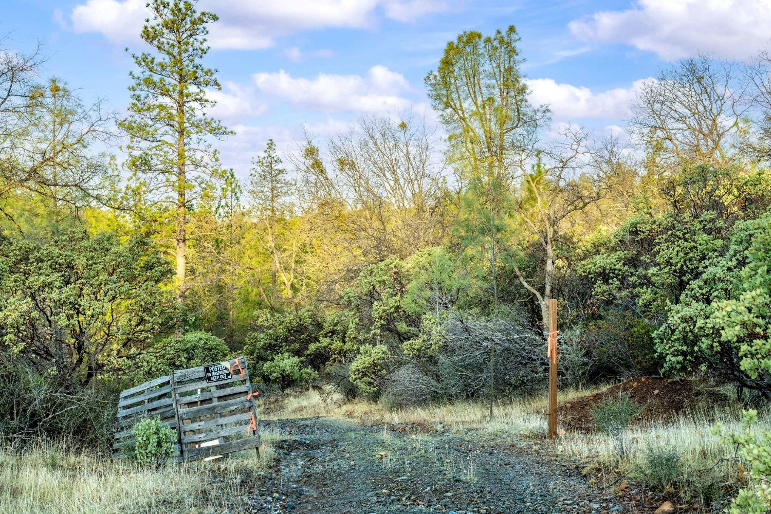 14941 Deadmans Flat Road Grass Valley, CA 95949 - Photo 43 of 45 a view of lake with green space