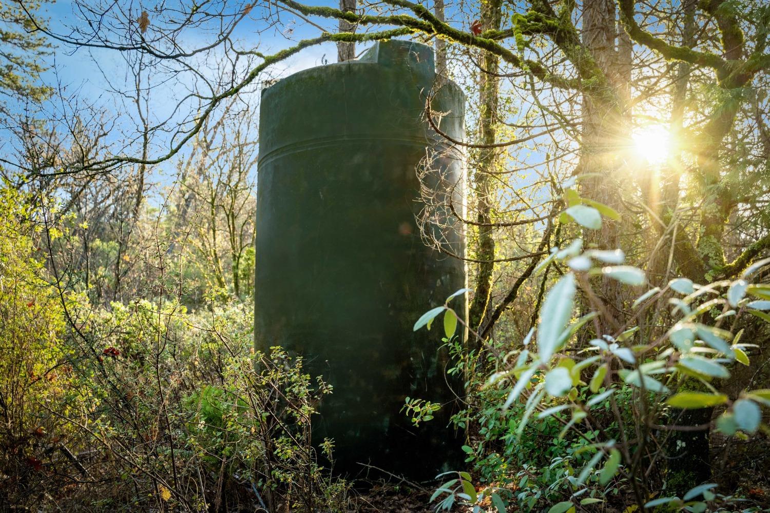 14941 Deadmans Flat Road Grass Valley, CA 95949 - Photo 6 of 45 a backyard of a building with lots of green space