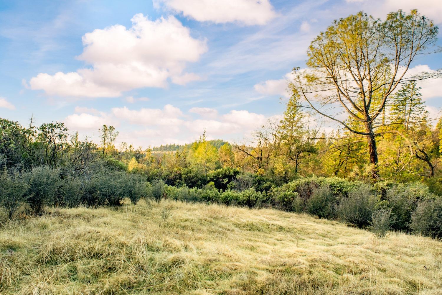 14941 Deadmans Flat Road Grass Valley, CA 95949 - Photo 7 of 45 a view of a yard with mountain