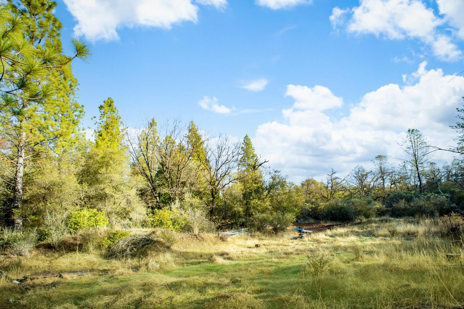 14941 Deadmans Flat Road Grass Valley, CA 95949 - Photo 8 of 45 a view of a lake with a yard