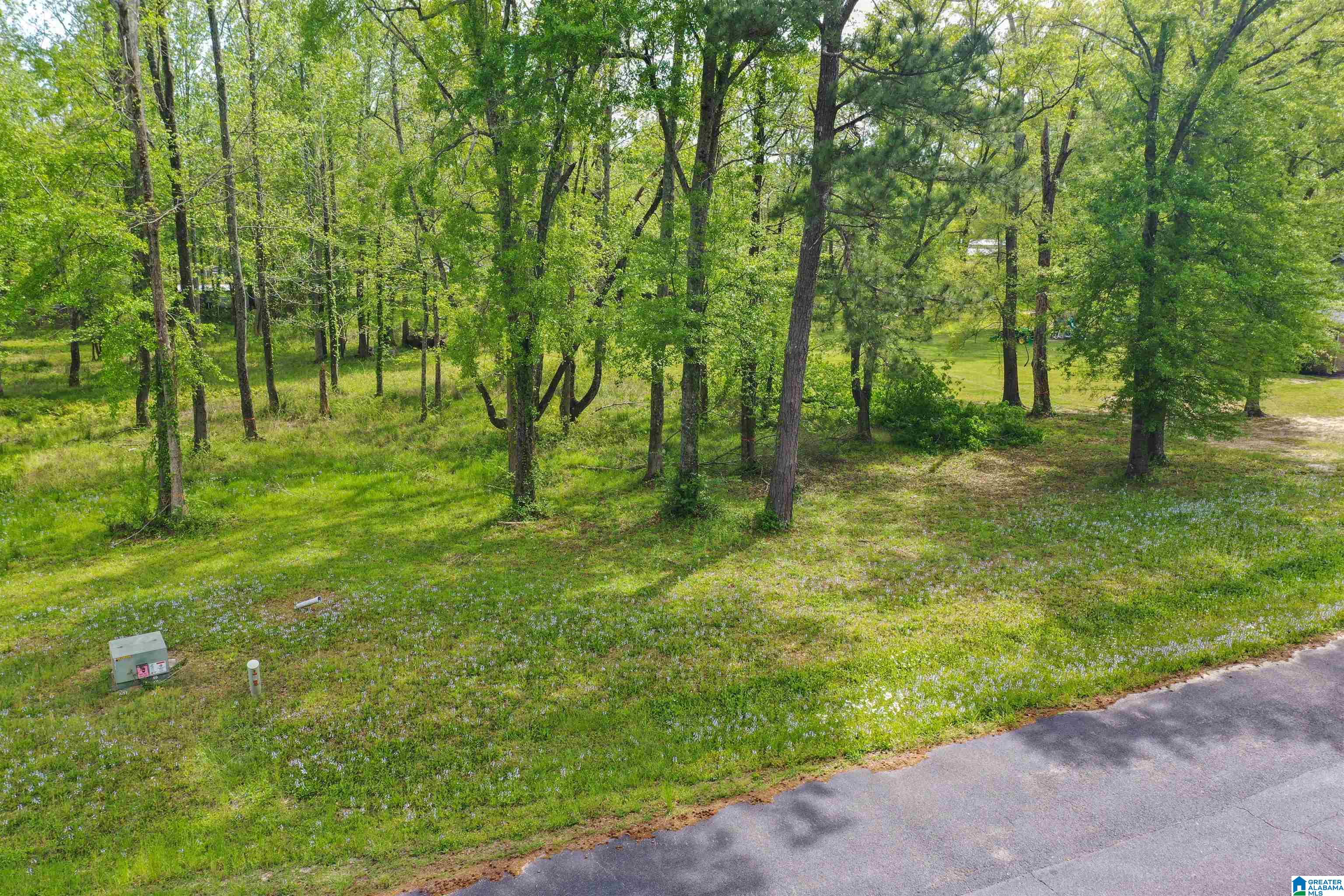 797 County Road Clanton, AL 35045 - Photo 17 of 44