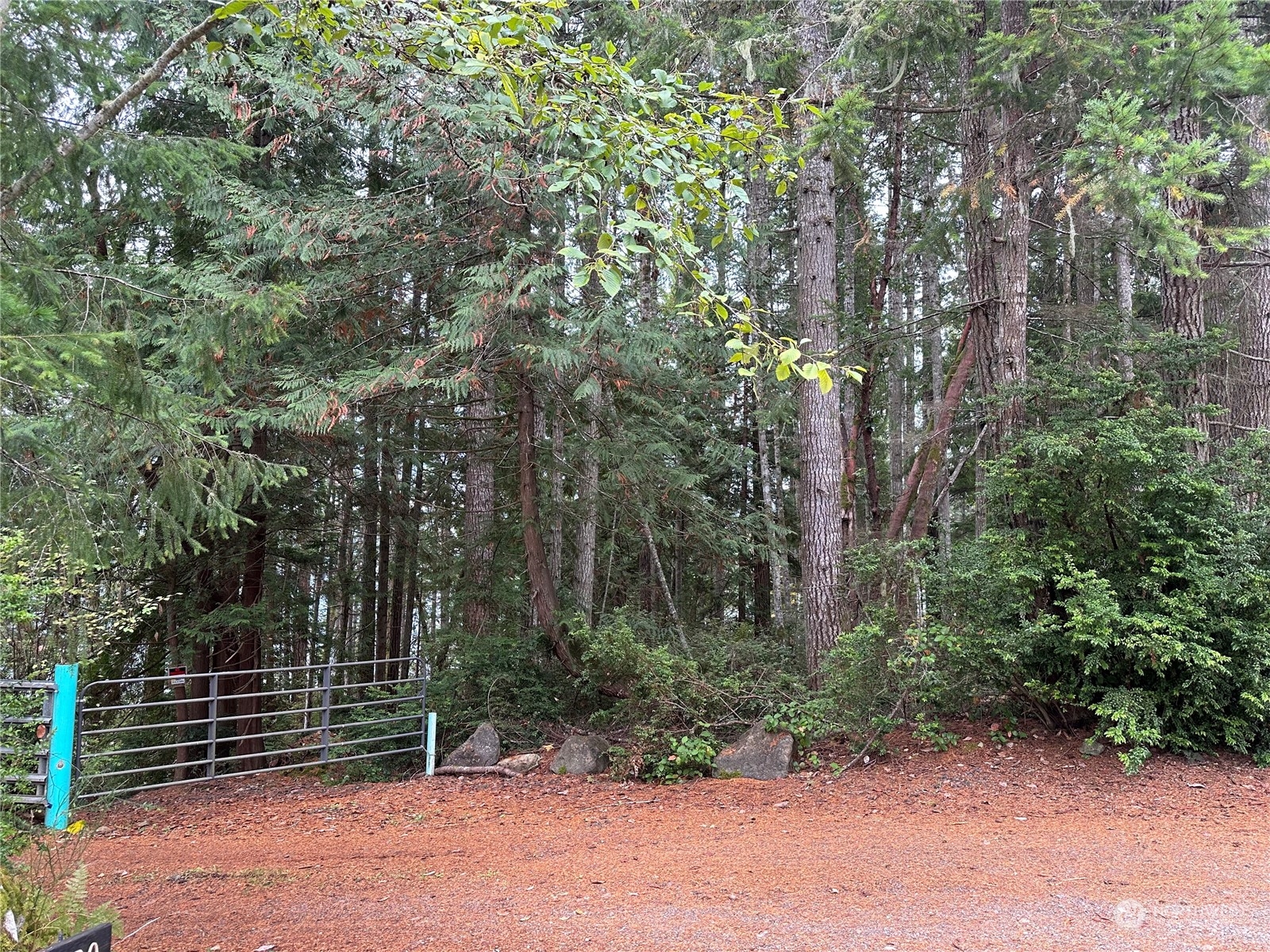 0 Misery Point Road Northwest Seabeck, WA 98380 - Photo 10 of 10 Gallery Image 10