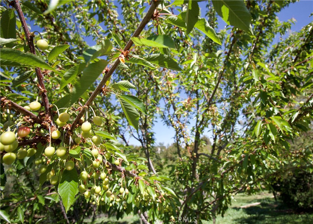 35159 El Dorado Road Lake Elsinore, CA 92530 - Photo 48 of 72