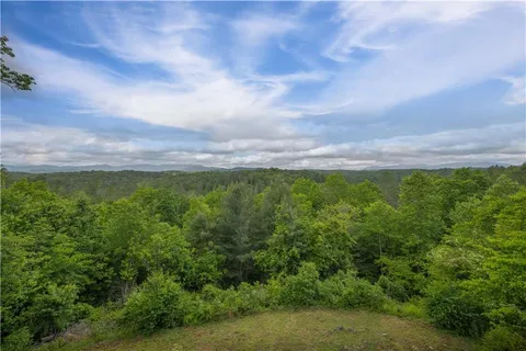 $675,000 | 170 Wildwood Court, Ellijay, GA 30540