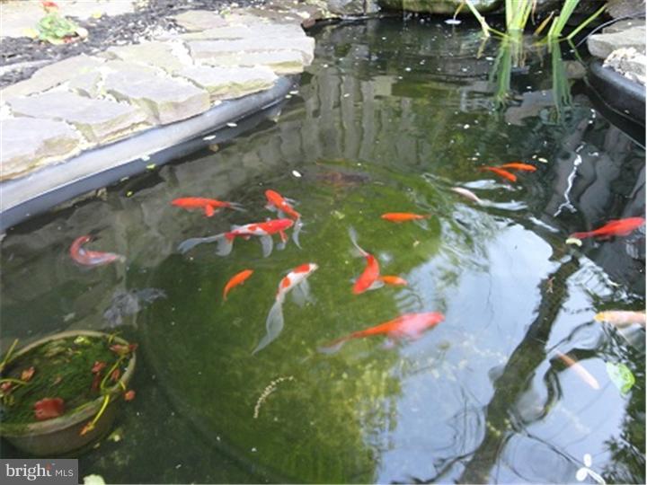 5 Hillside Road Levittown, PA 19056 - Photo 21 of 25 Lake / Pond