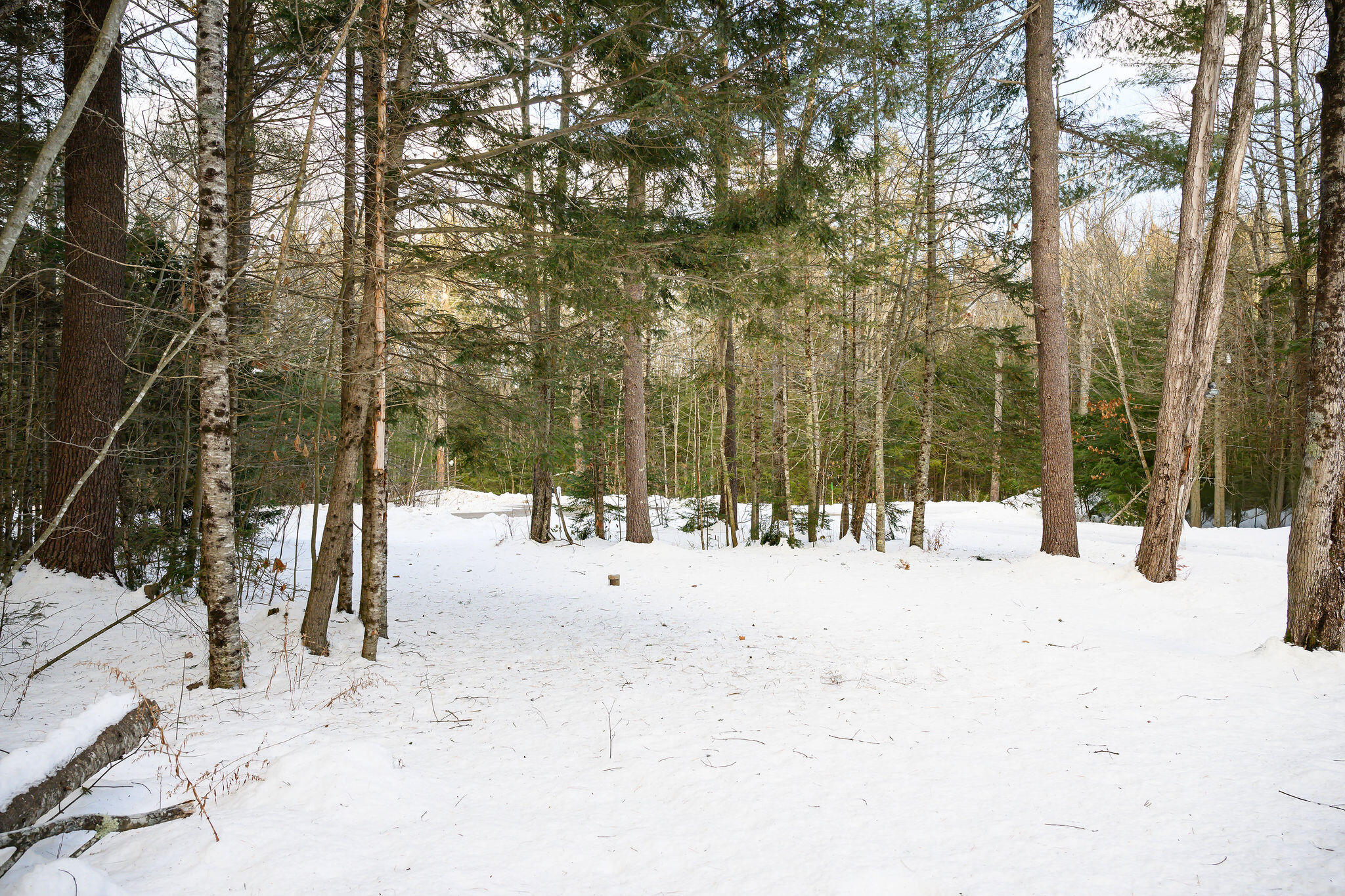 29 Jesse Road Topsham, ME 04086 - Photo 25 of 25 untitled-0762