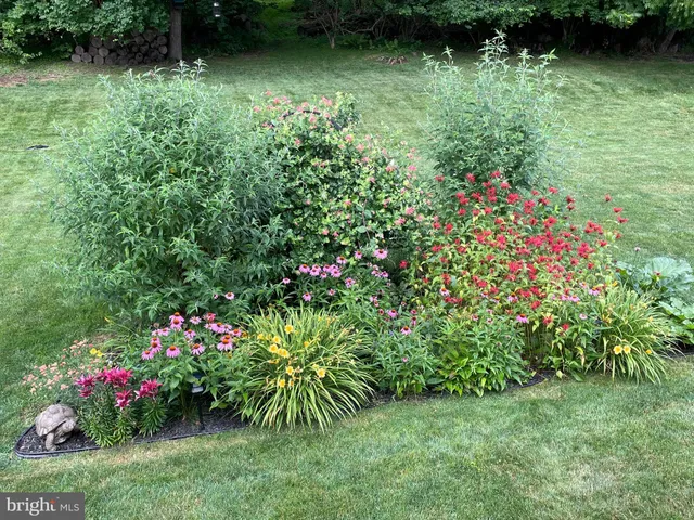 a view of a garden with a flower garden