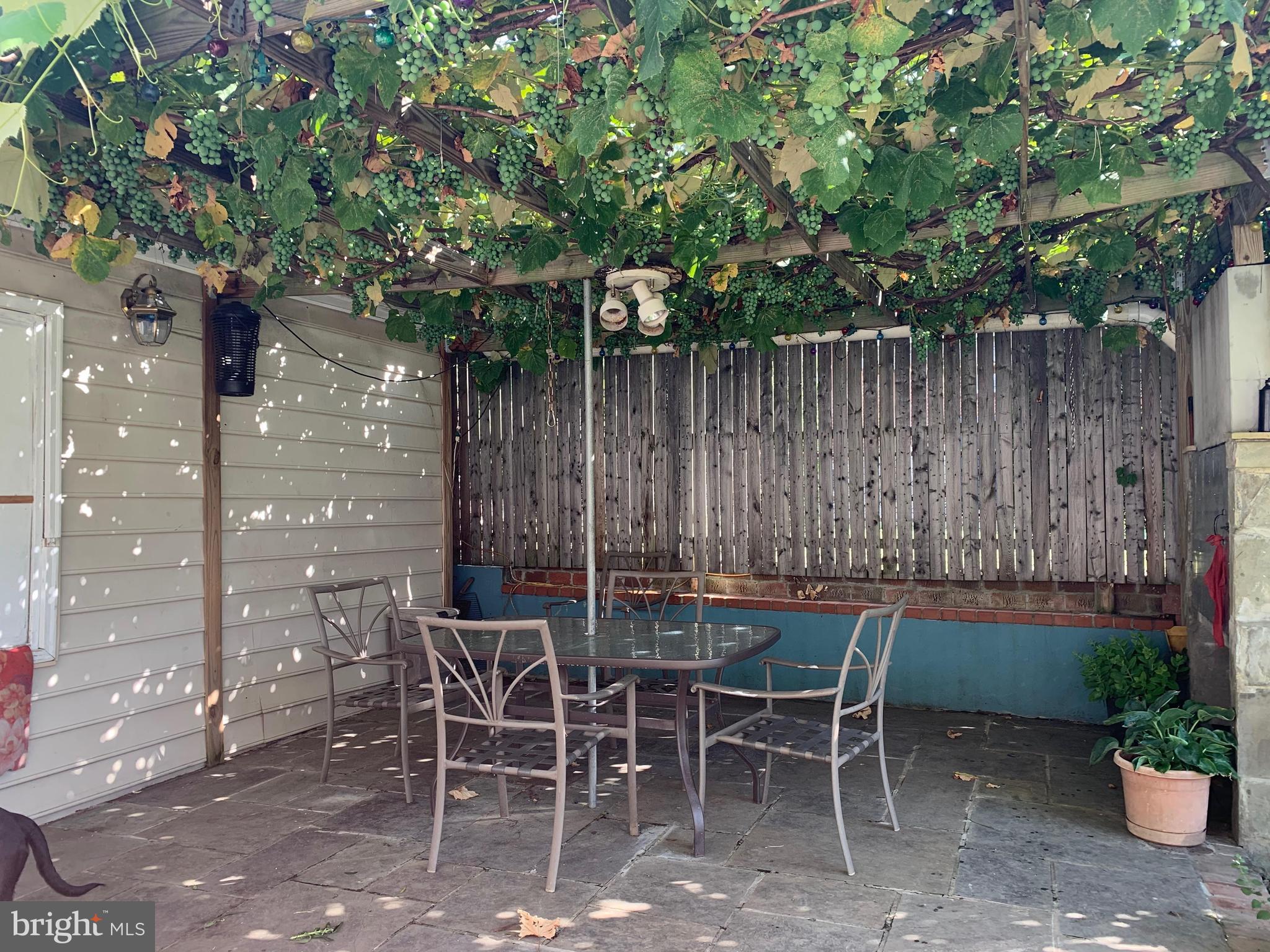 3912 Jeffry Street Silver Spring, MD 20906 - Photo 23 of 23 Patio