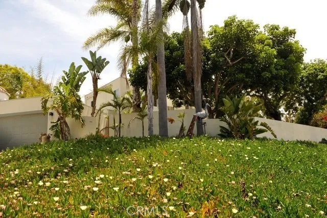 a view of a backyard