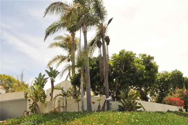 a view of a backyard