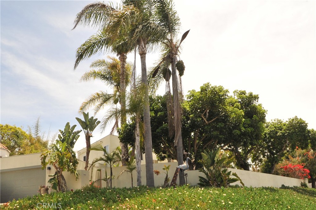 1707 Hygeia Avenue Encinitas, CA 92024 - Photo 40 of 41 a view of a backyard