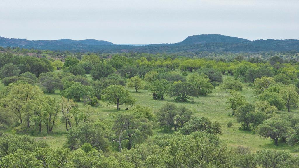 0 Fly Gap County Road Mason, TX 76856 - Photo 20 of 32