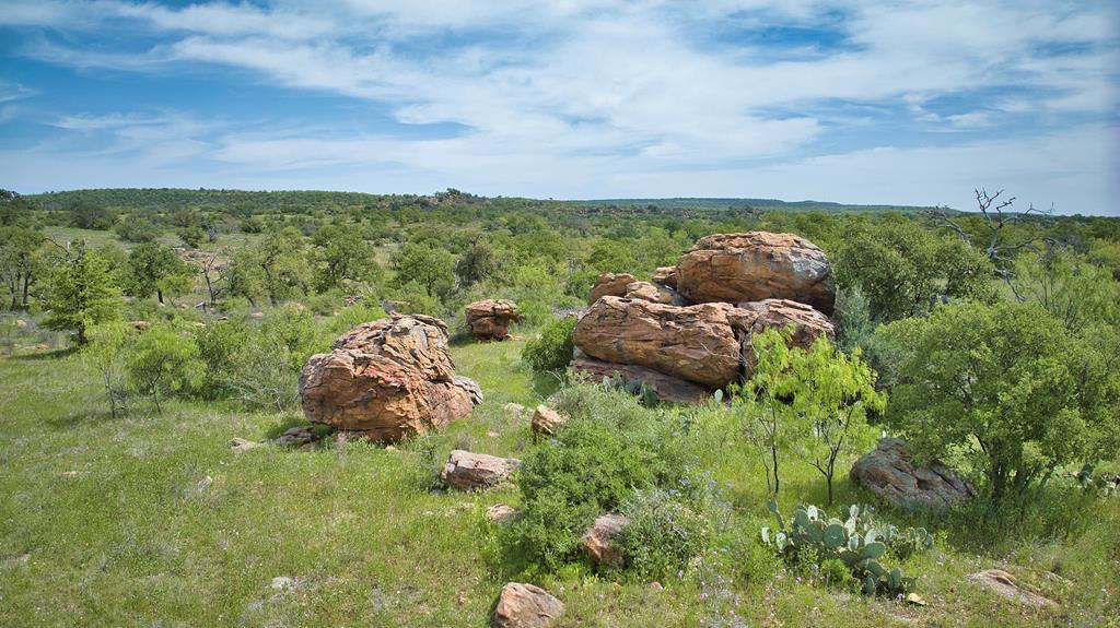 0 Fly Gap County Road Mason, TX 76856 - Photo 25 of 32