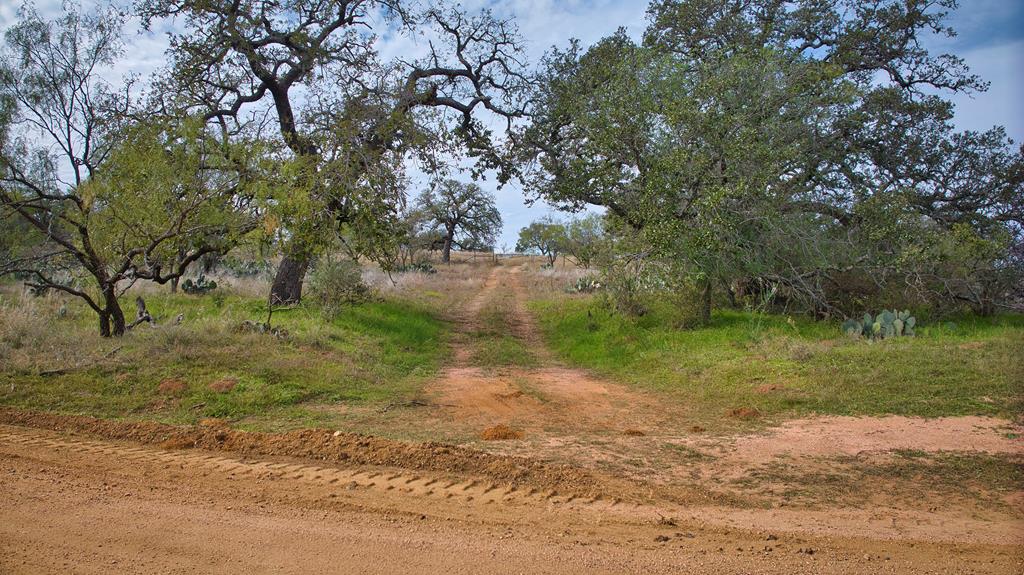 0 Fly Gap County Road Mason, TX 76856 - Photo 3 of 32