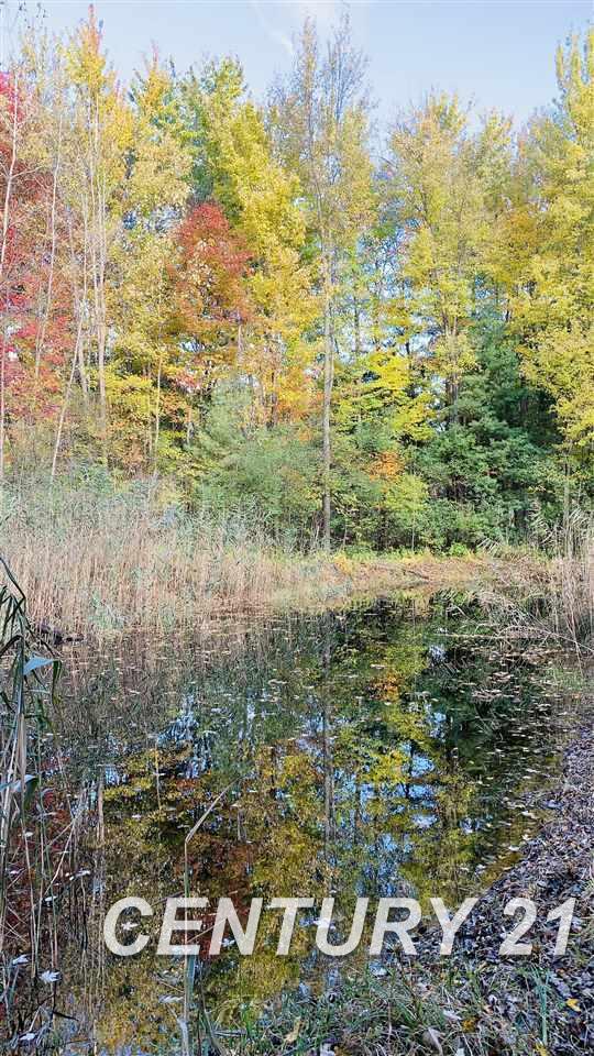 East Townline Road Bridgeport, MI 48722 - Photo 3 of 8