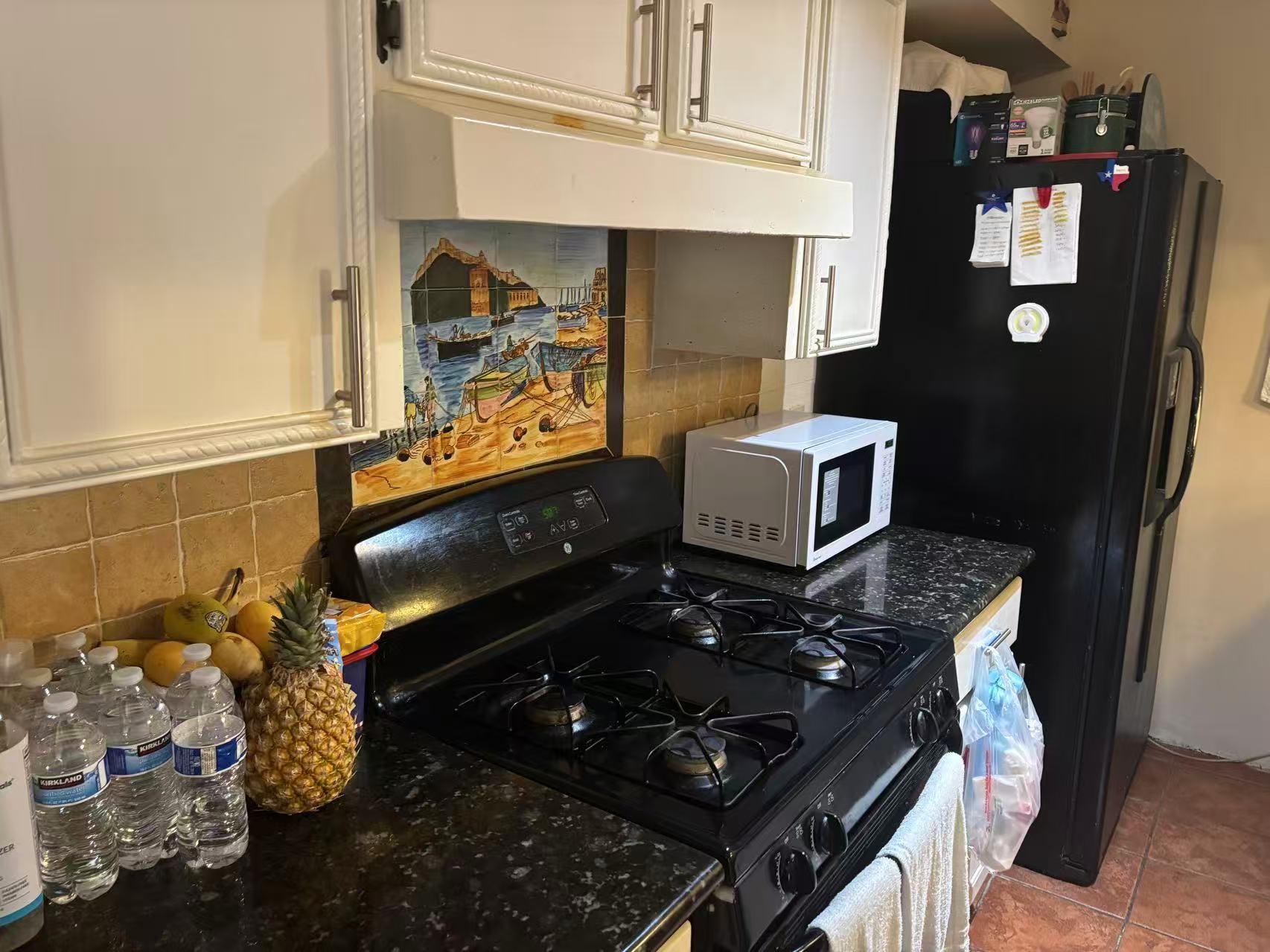 7925 Rampart Street, Unit 107 Houston, TX 77081 - Photo 6 of 12 Gallery Image 6
