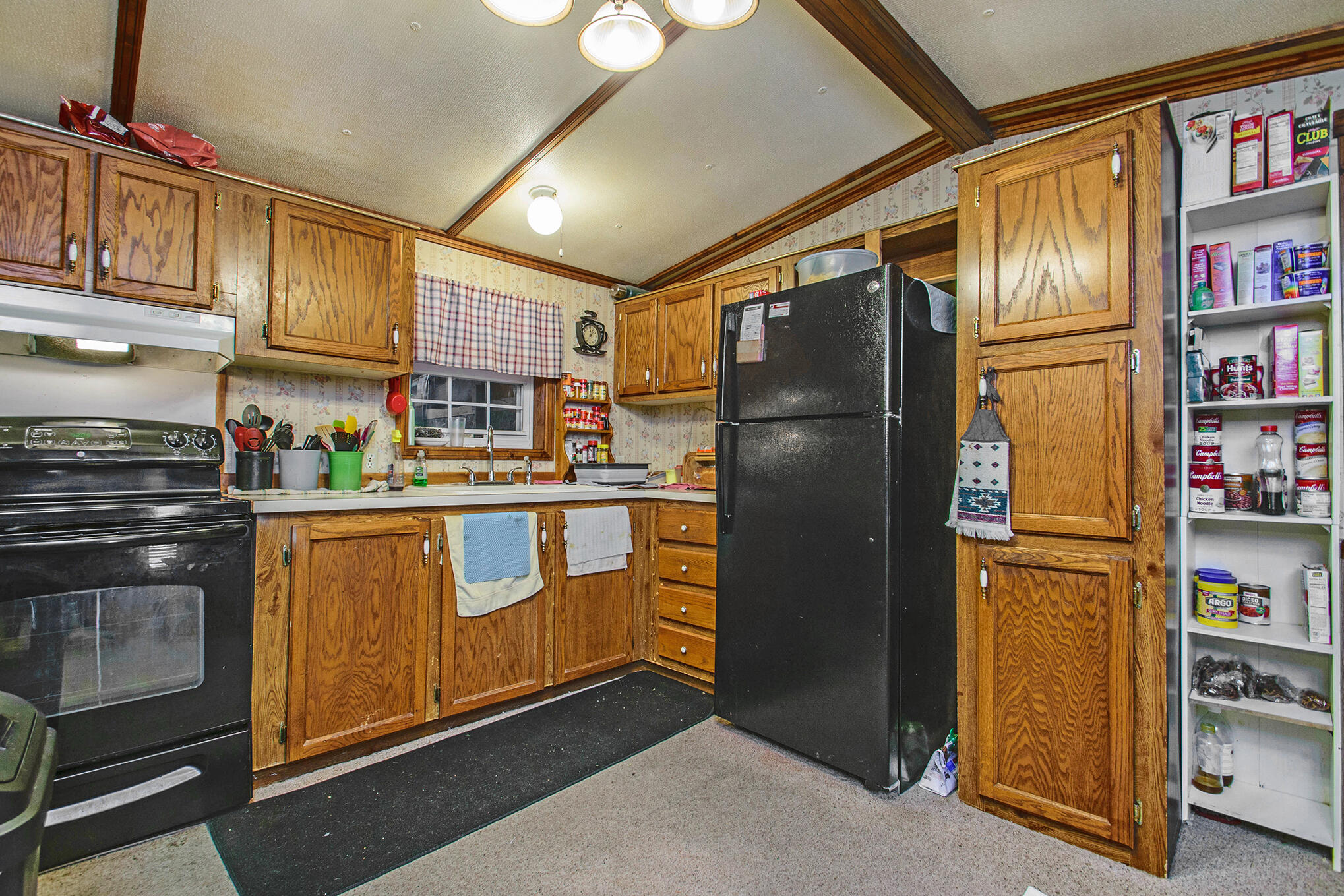 3546 Bass Lake Road Pierson, MI 49339 - Photo 6 of 19 DSC_5177