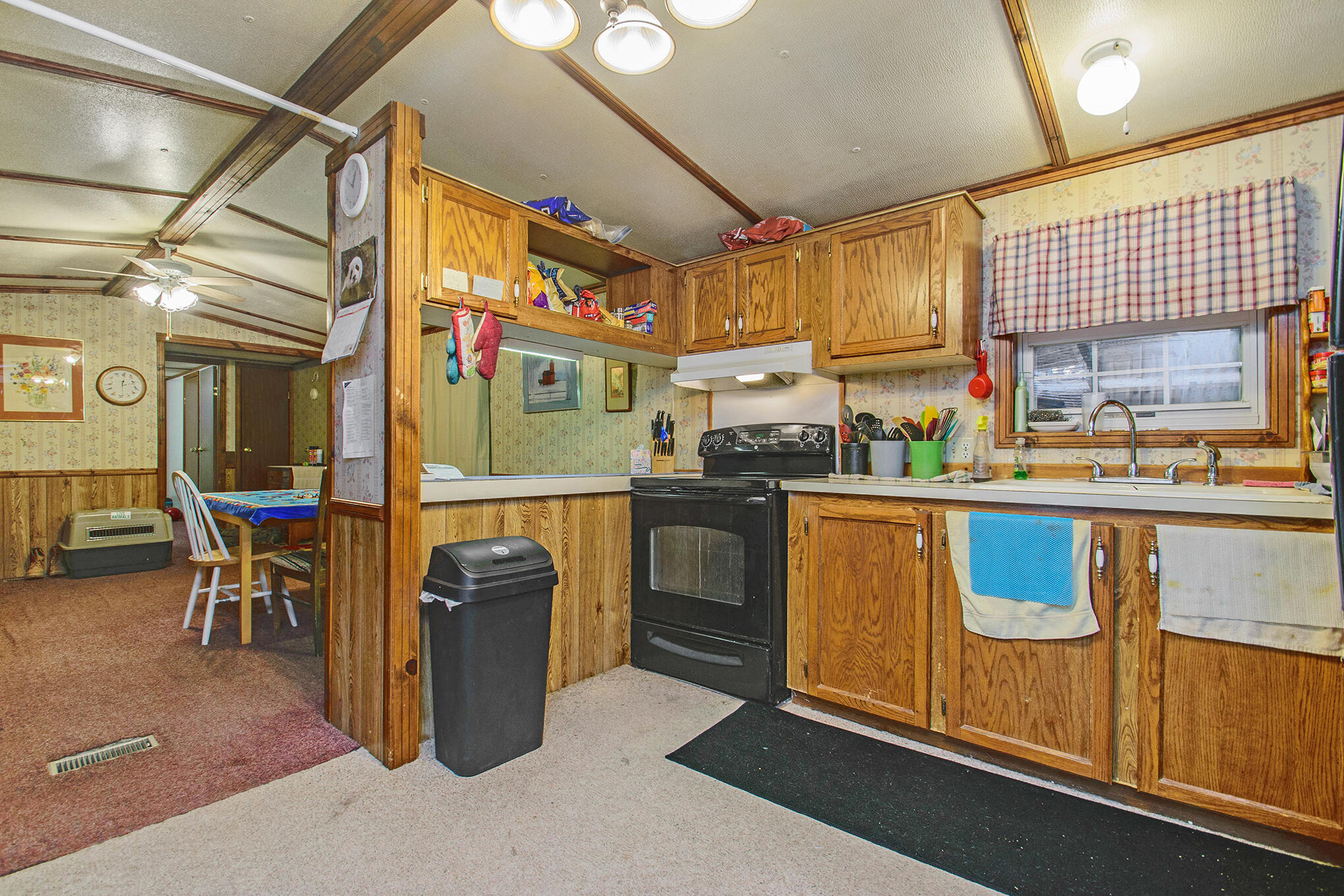 3546 Bass Lake Road Pierson, MI 49339 - Photo 7 of 19 DSC_5180