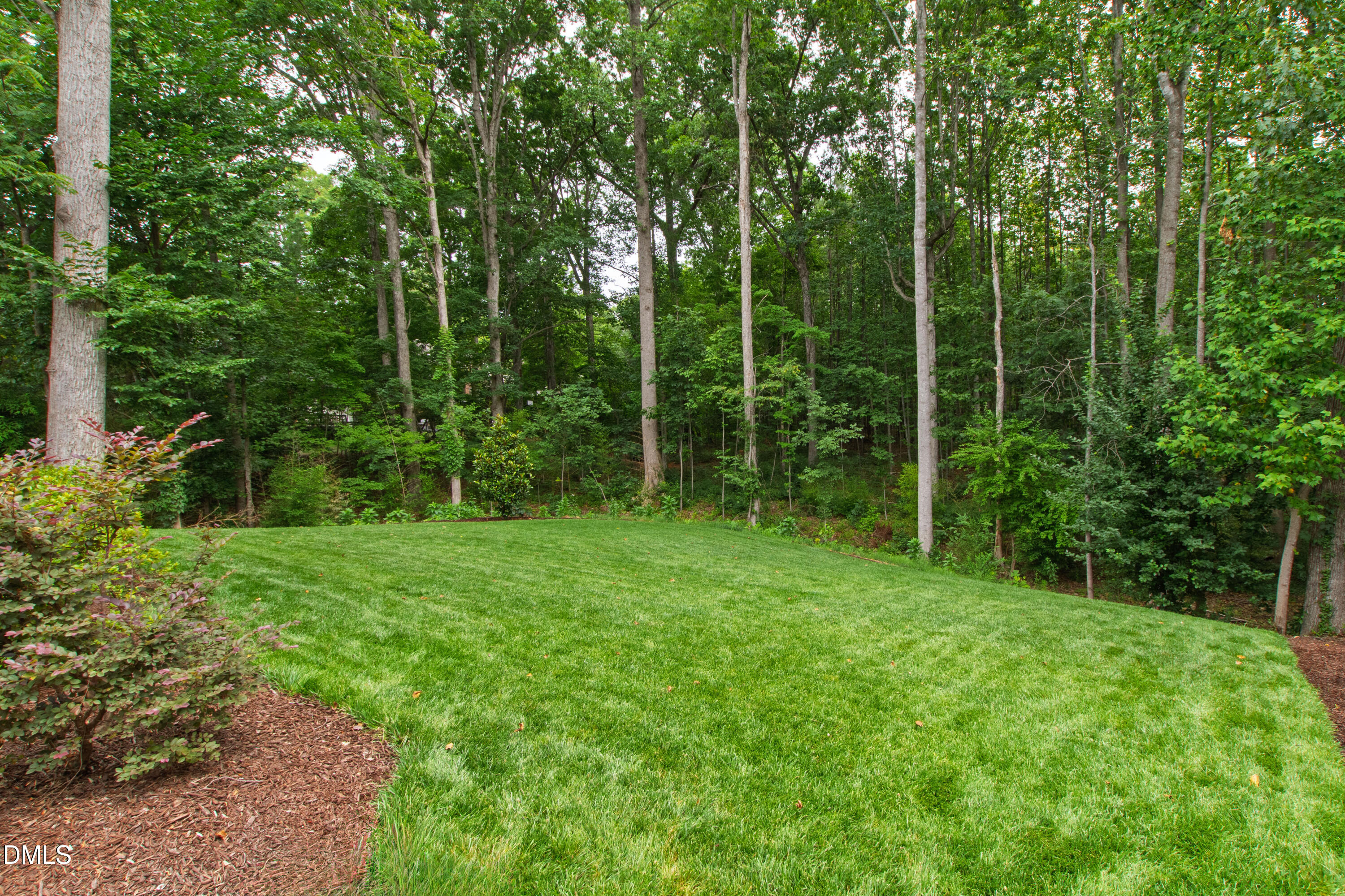2101 Gresham Lake Road Raleigh, NC 27615 - Photo 74 of 81 Gresham (84)