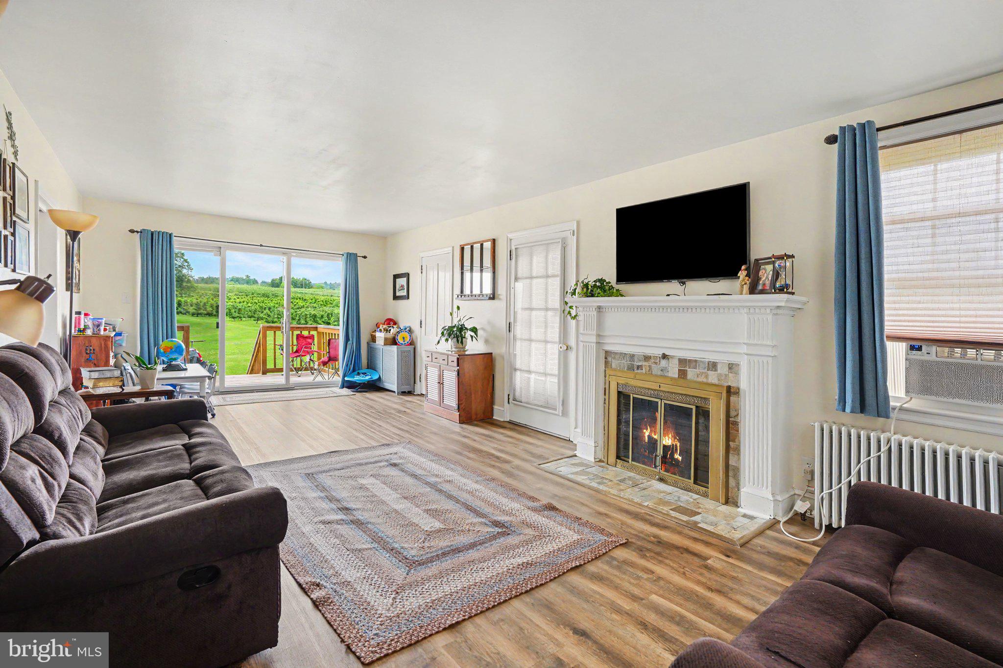 420 Carlisle Road Biglerville, PA 17307 - Photo 12 of 41 a living room with furniture a flat screen tv and a fireplace