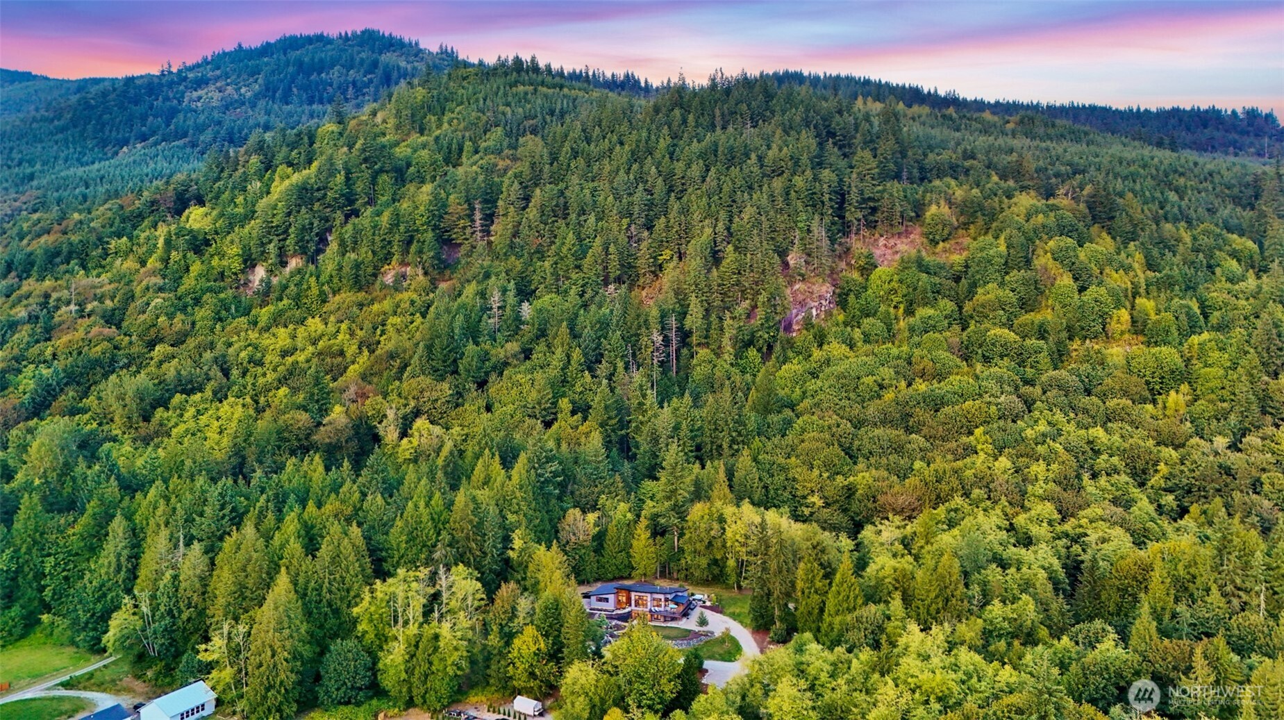 322 Manley Road Bellingham, WA 98229 - Photo 35 of 40 a view of a lush green forest with a mountain in the background