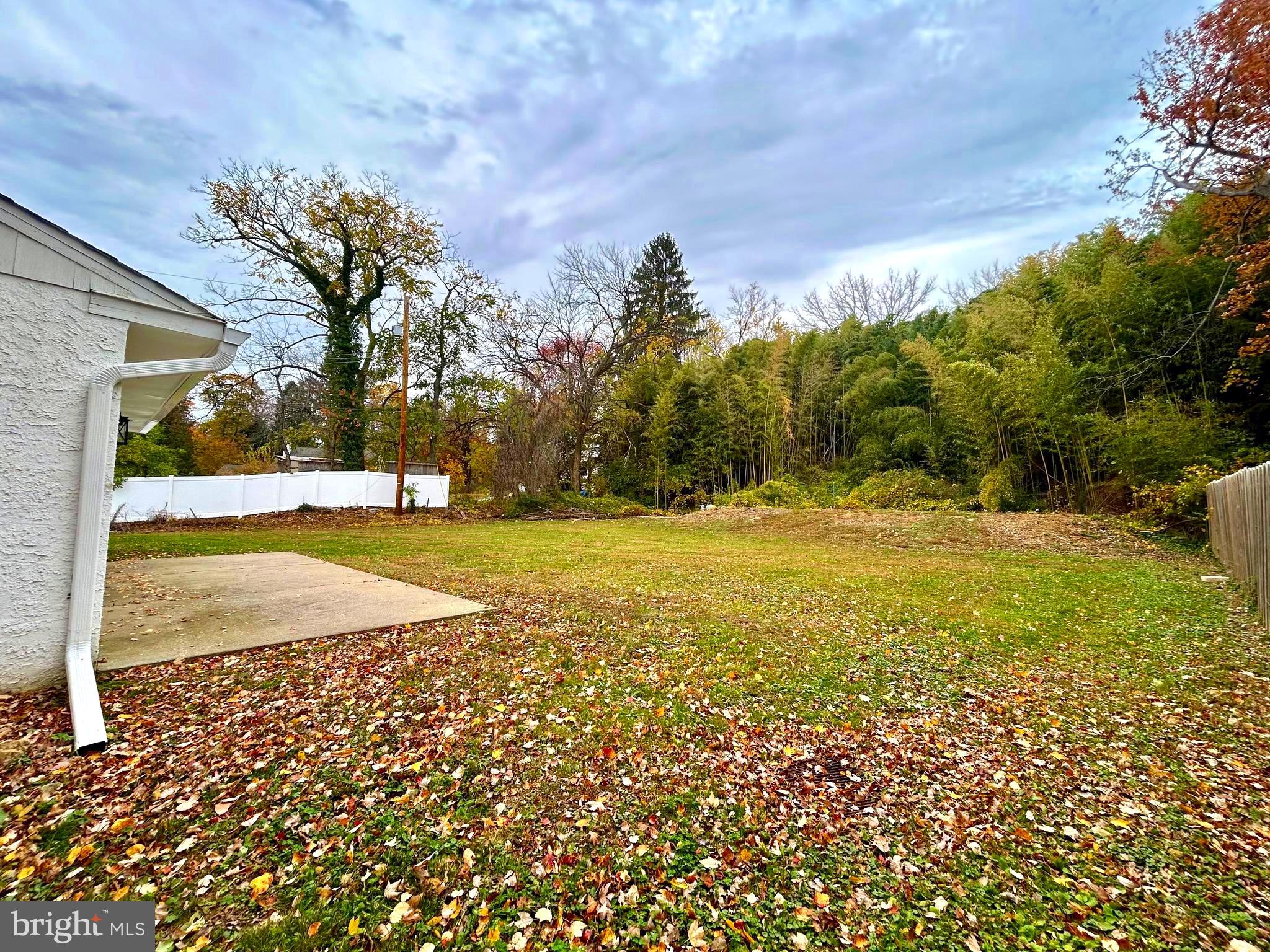 381 Upper Gulph Road Wayne, PA 19087 - Photo 17 of 17 a view of yard with tree in the background