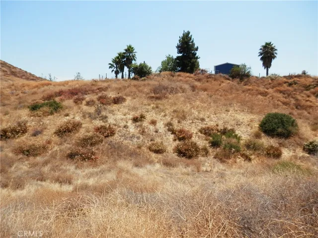 a view of a dry yard