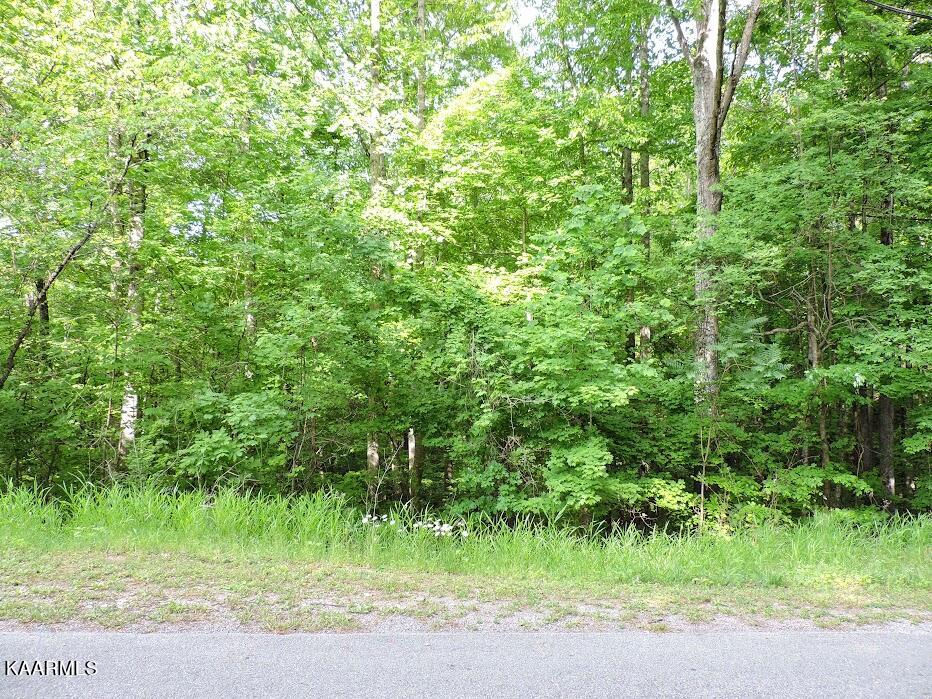 Sunset Hills Ln Spring Spring City, TN 37381 - Photo 1 of 8 sun 9