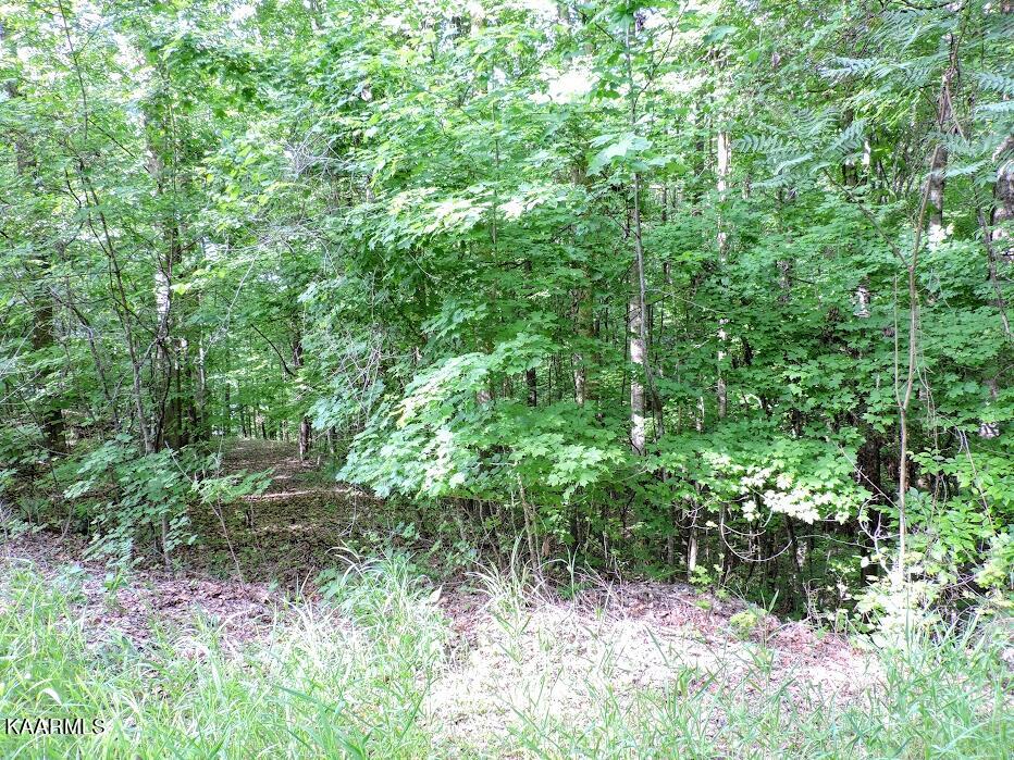 Sunset Hills Ln Spring Spring City, TN 37381 - Photo 2 of 8 sun 1