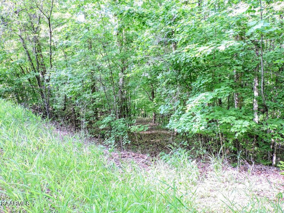 Sunset Hills Ln Spring Spring City, TN 37381 - Photo 7 of 8 sun 2