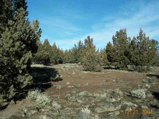 25-38 Red Rock Road Macdoel, CA 96058 - Photo 5 of 6 Gallery Image 5