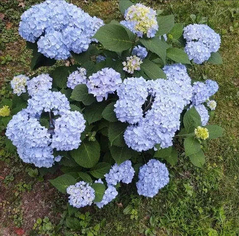 $189,000 | 22 Chestnut Street, Unit 1, Brattleboro, VT 05301