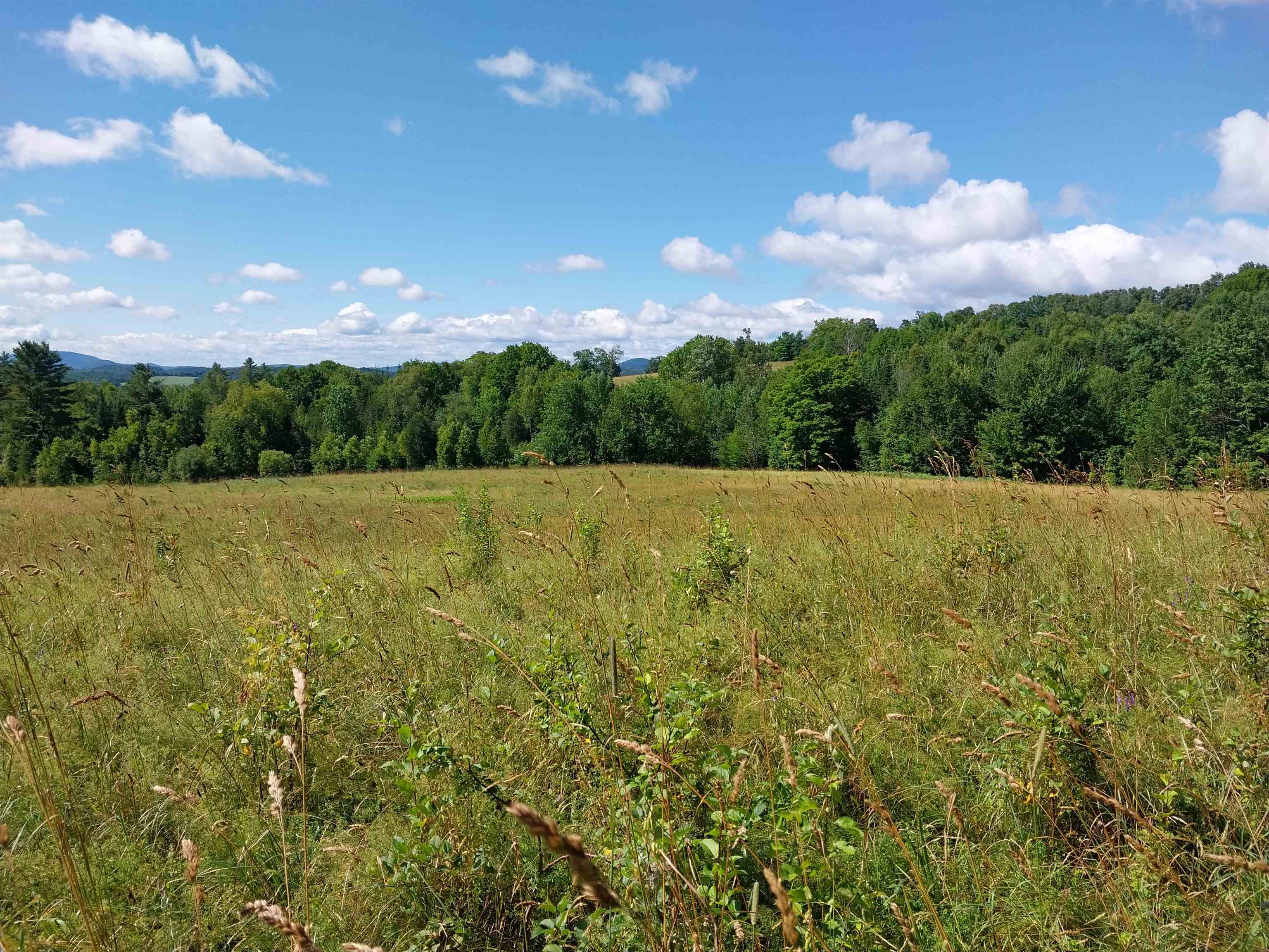 0 Walden Hill Road, Unit 2 Danville, VT 05828 - Photo 25 of 29