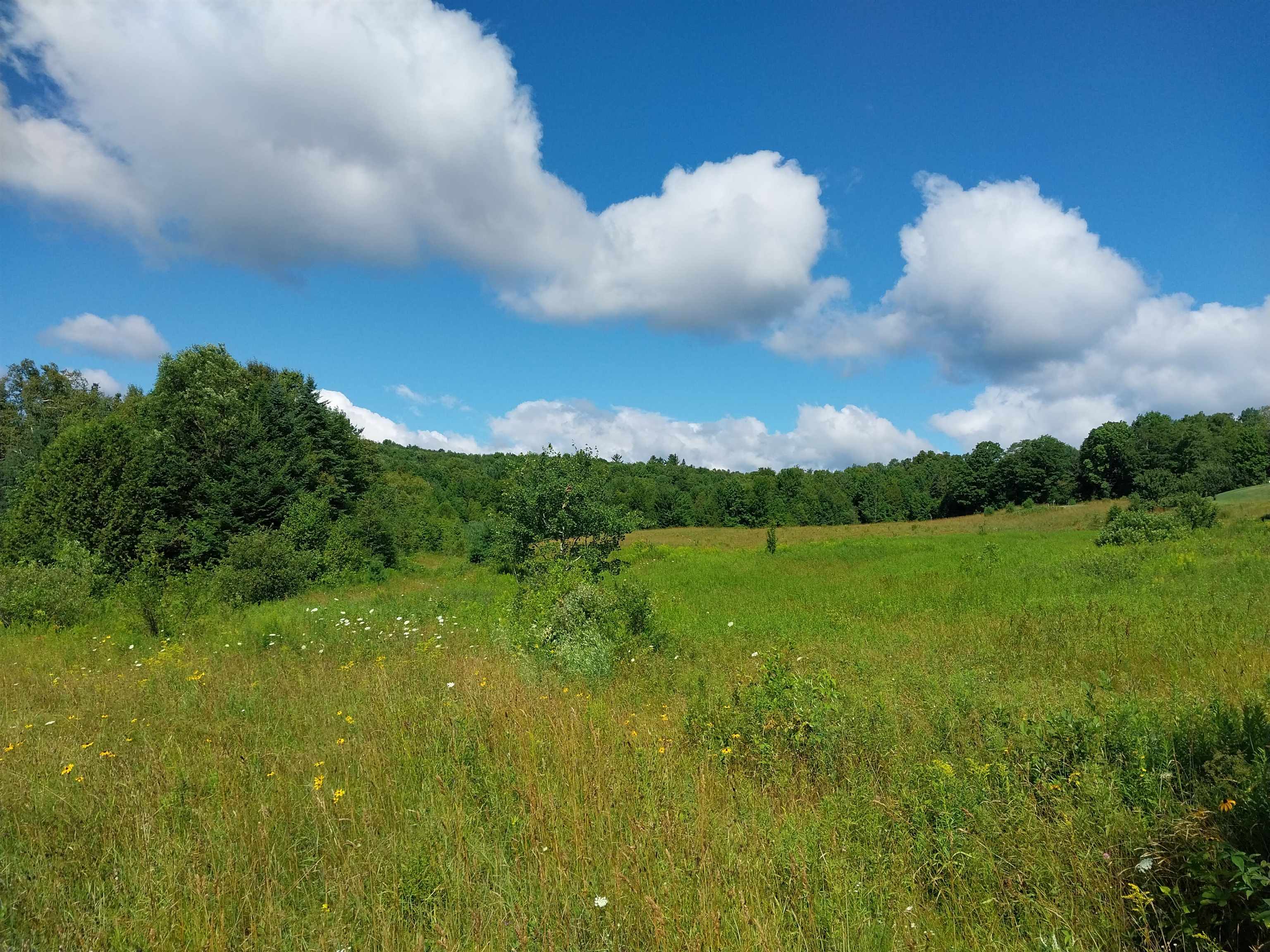 0 Walden Hill Road, Unit 2 Danville, VT 05828 - Photo 26 of 29
