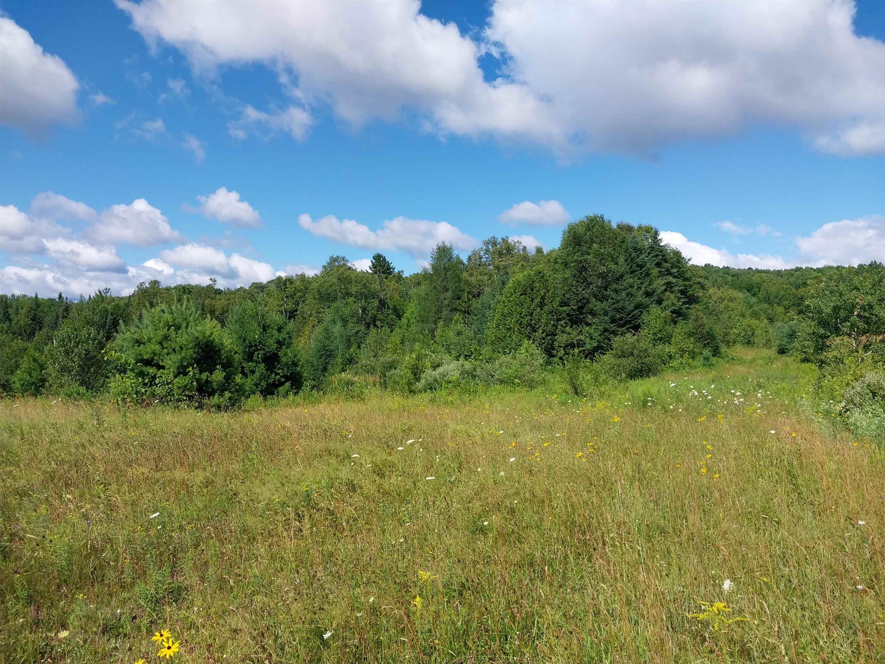 0 Walden Hill Road, Unit 2 Danville, VT 05828 - Photo 27 of 29