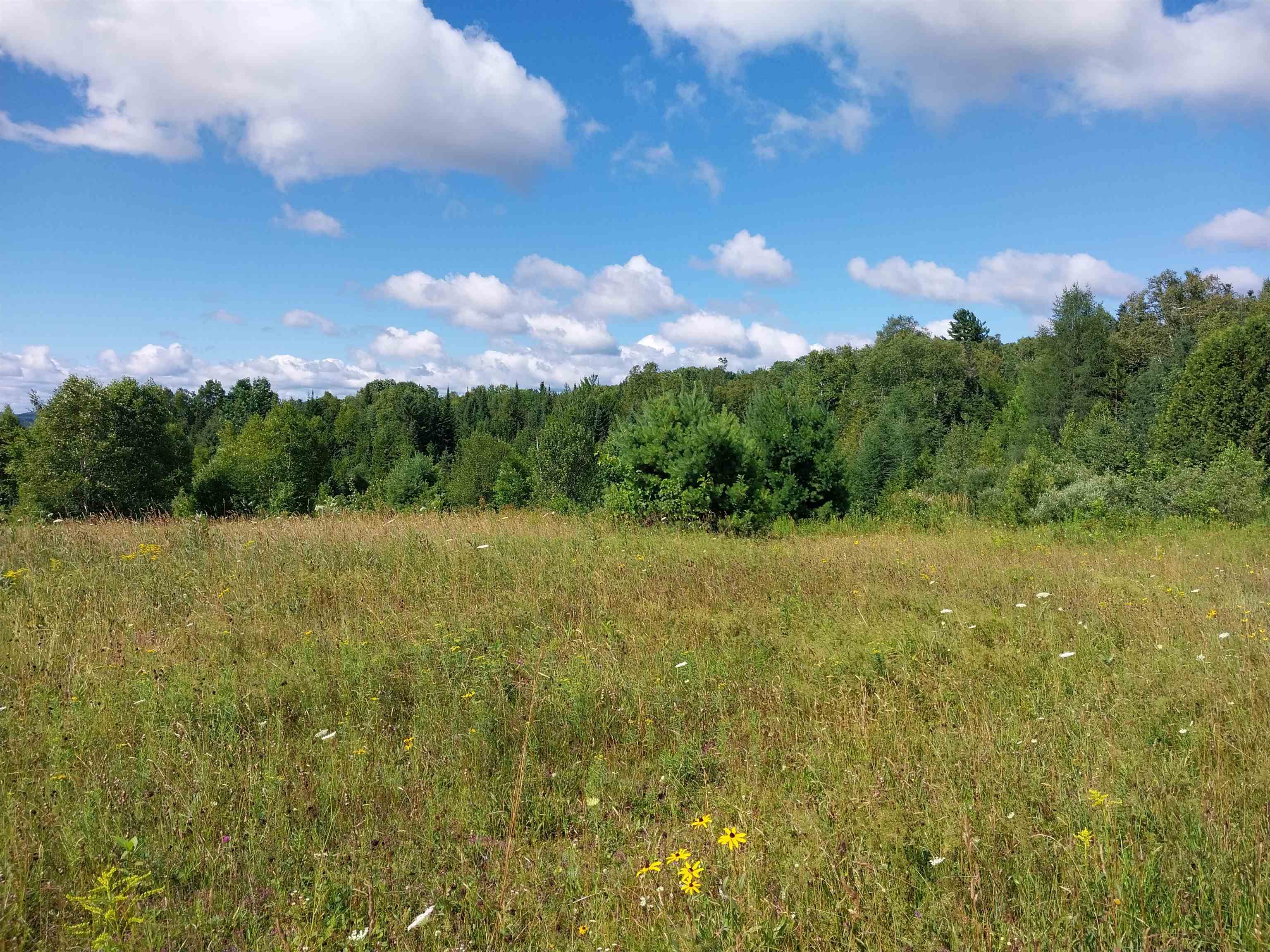 0 Walden Hill Road, Unit 2 Danville, VT 05828 - Photo 28 of 29
