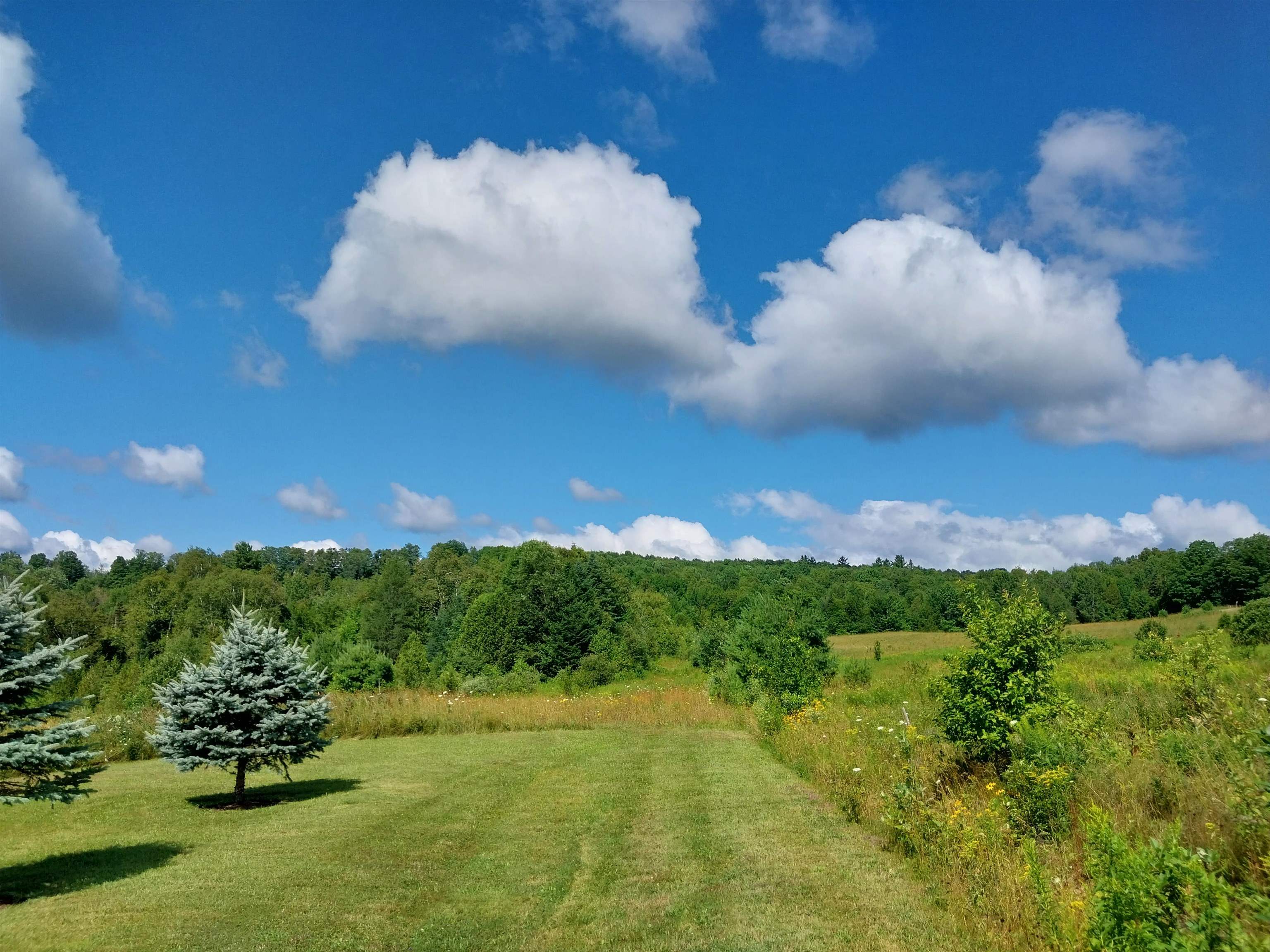 0 Walden Hill Road, Unit 2 Danville, VT 05828 - Photo 29 of 29