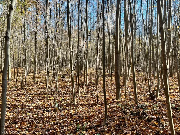 $199,900 | Marrian Road, Dorset, OH 44032
