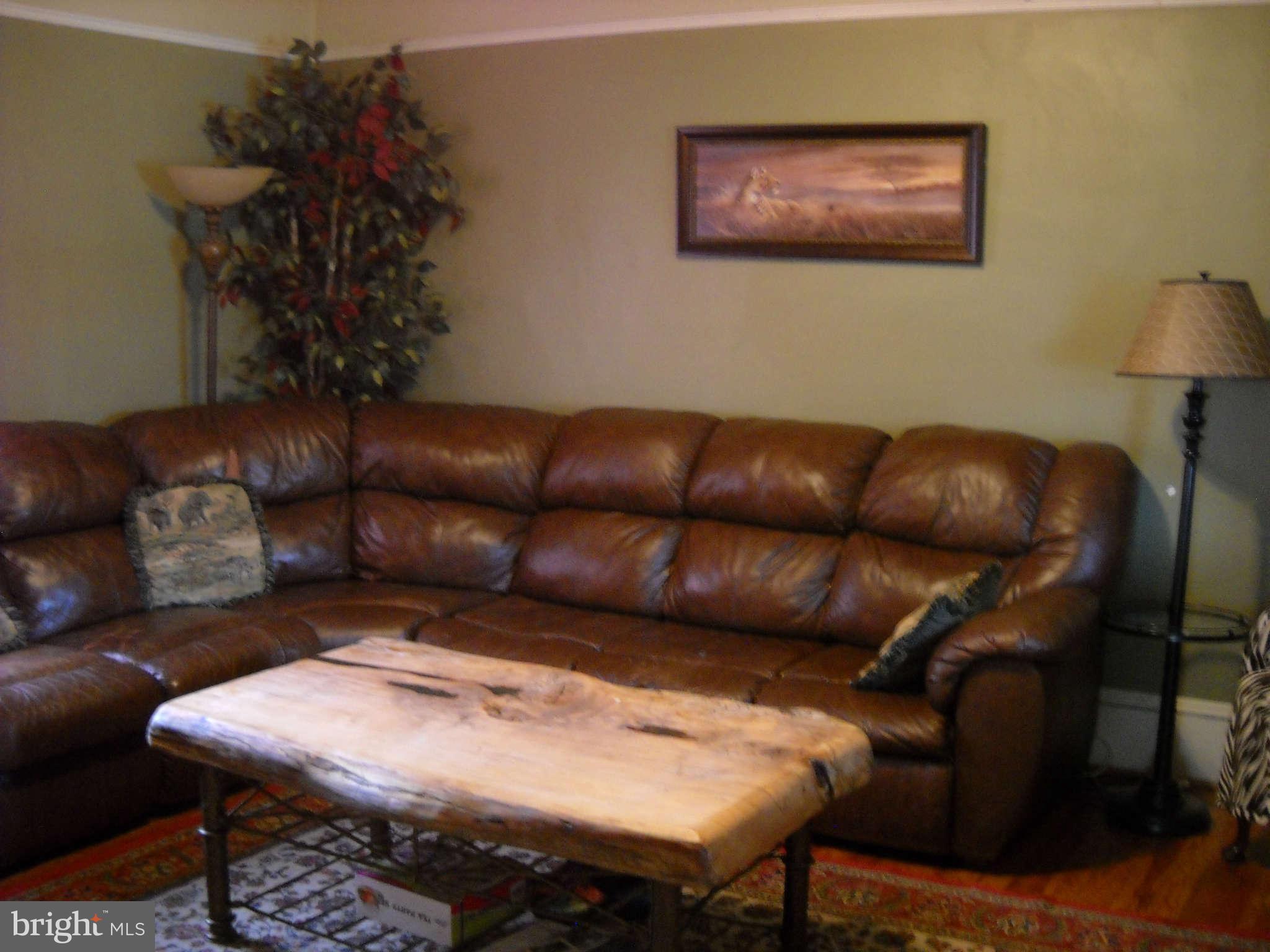 415 Hill Street Culpeper, VA 22701 - Photo 5 of 14 a living room with furniture