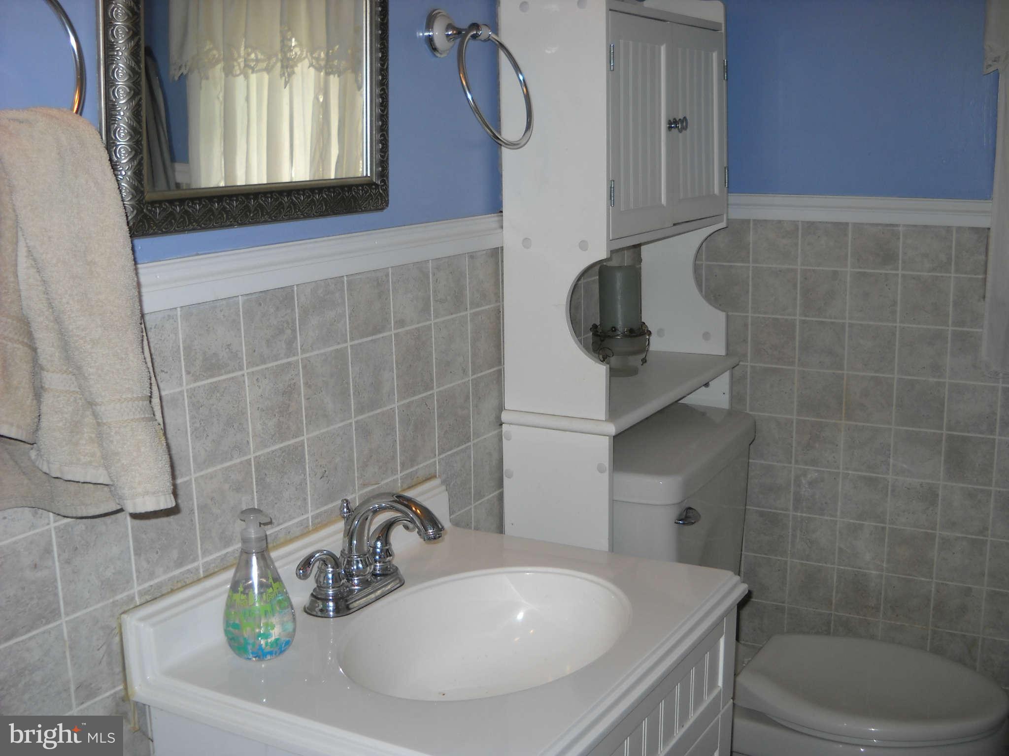 415 Hill Street Culpeper, VA 22701 - Photo 9 of 14 a bathroom with a sink a toilet and a mirror