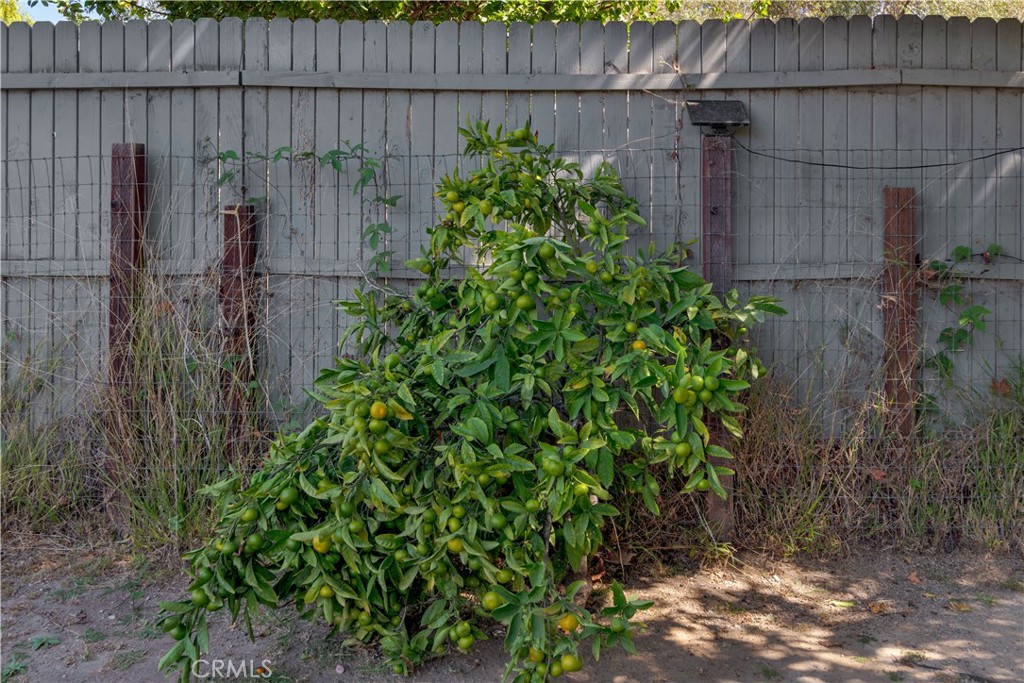 280 Tally Ho Road Arroyo Grande, CA 93420 - Photo 38 of 43 Tangerines