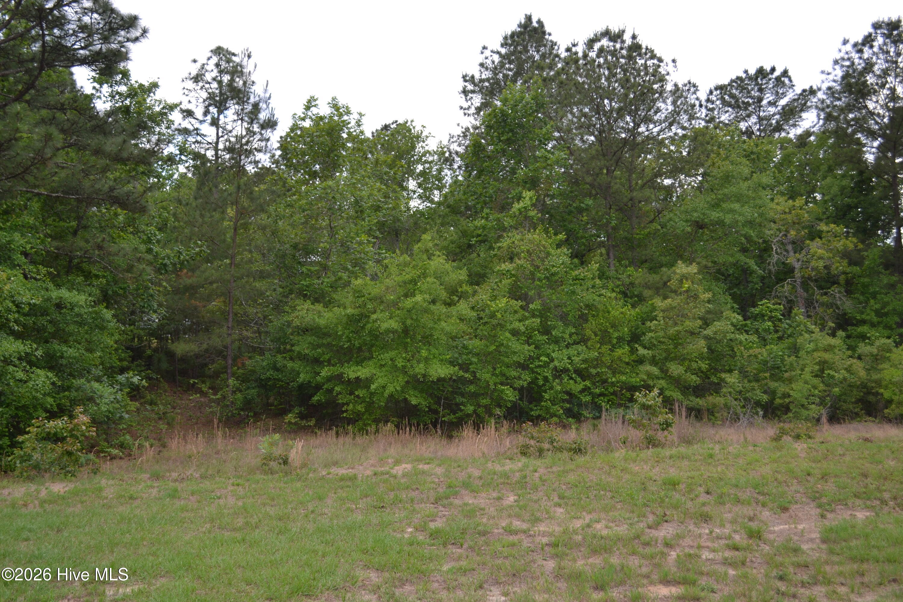 0 Old Barnwell Road Aiken, SC 29803 - Photo 12 of 20 Old Barnwell Rd (17)