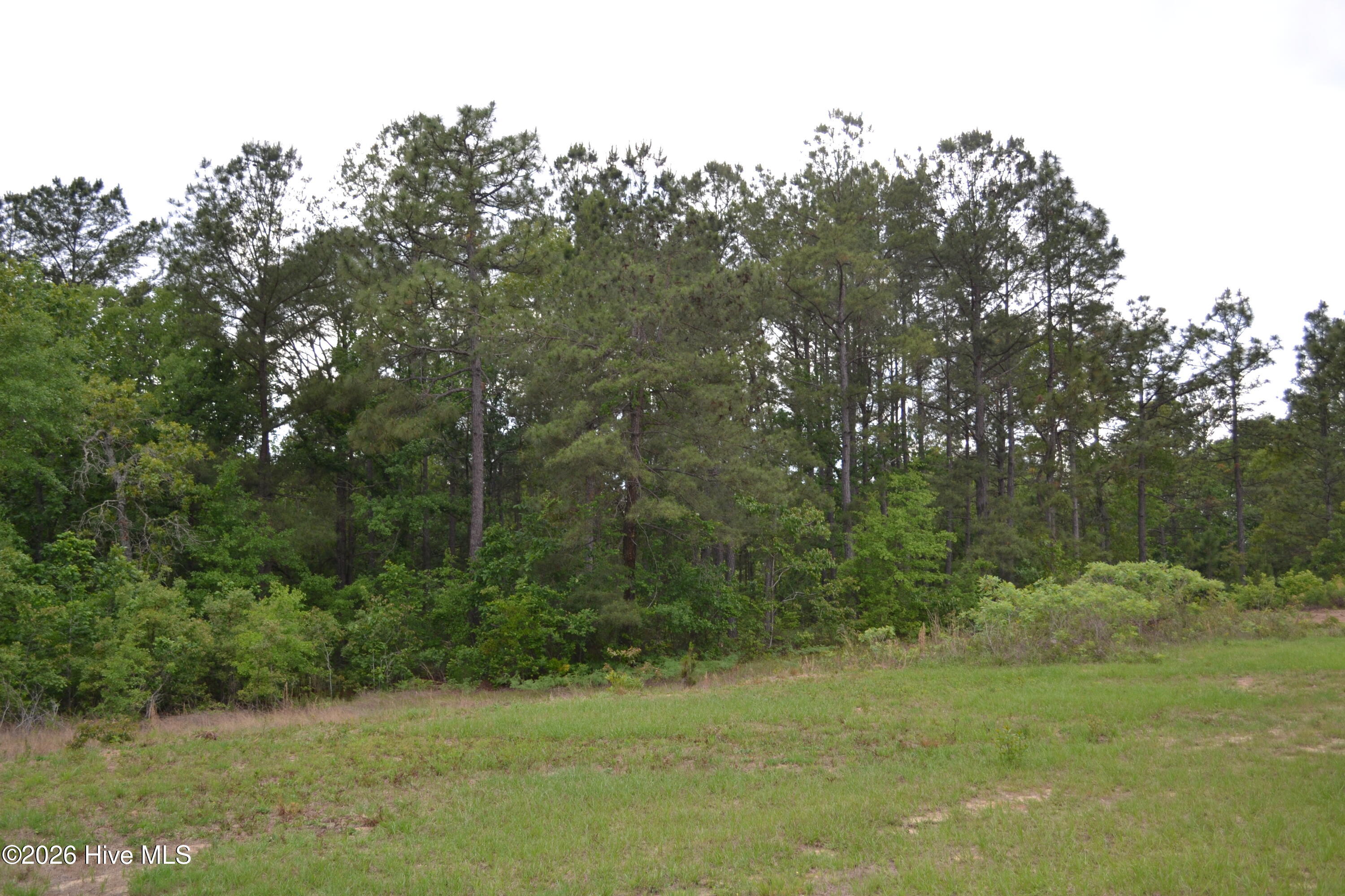 0 Old Barnwell Road Aiken, SC 29803 - Photo 14 of 20 Old Barnwell Rd (19)